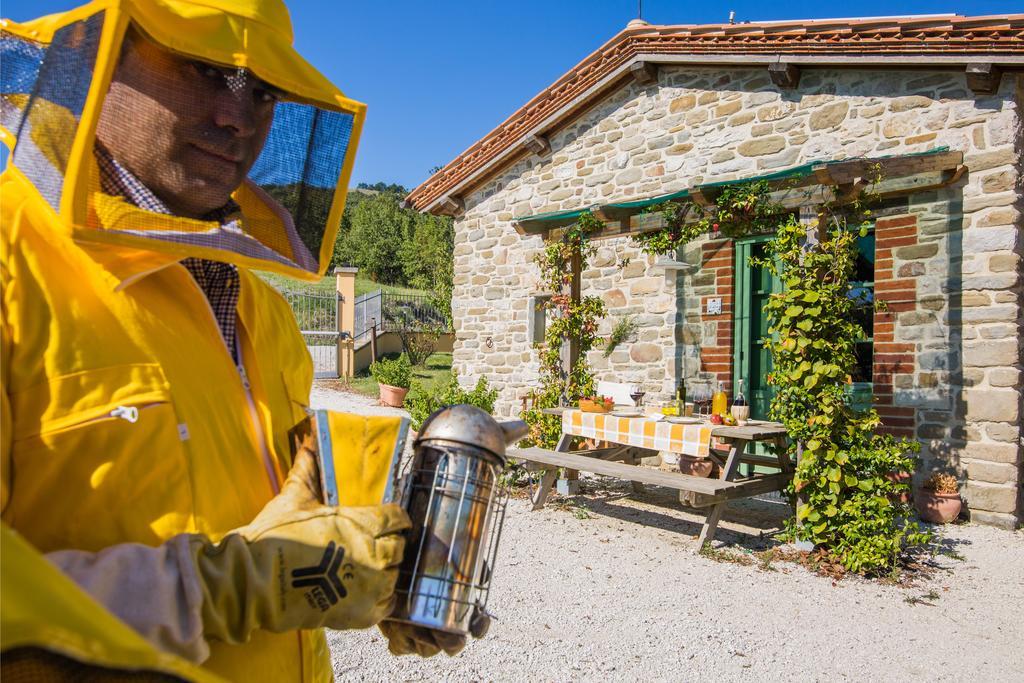 Valfabbrica Agriturismo La Coccinella מראה חיצוני תמונה
